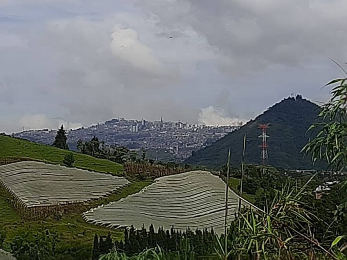 Manizales una de las capitales piloto del plan nacional de Biodiverciudades