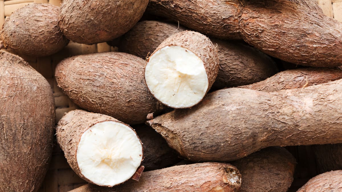 ¿Cómo saber si está buena la yuca? Trucos para elegirlas y que no salgan ‘paludas’