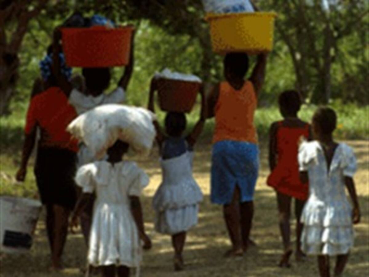 El 95% de casos de desplazamiento permanecen impunes: Codhes