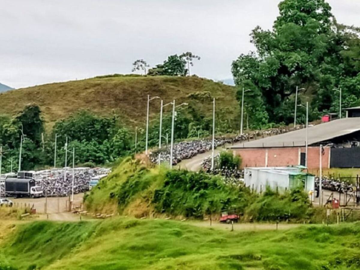 La falta del SOAT es la principal infracción que se comete en Manizales