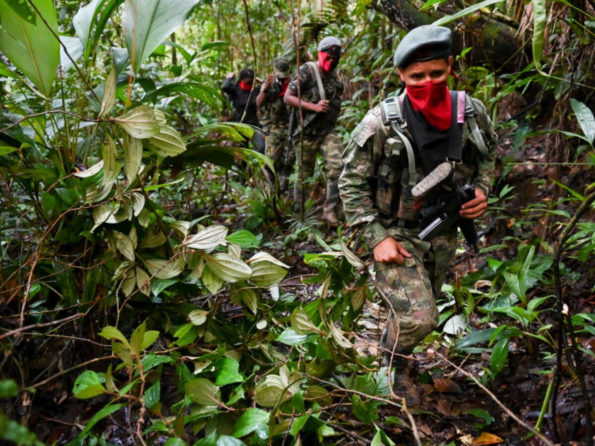 Gobierno estudia cese bilateral con el ELN desde el 8 de junio