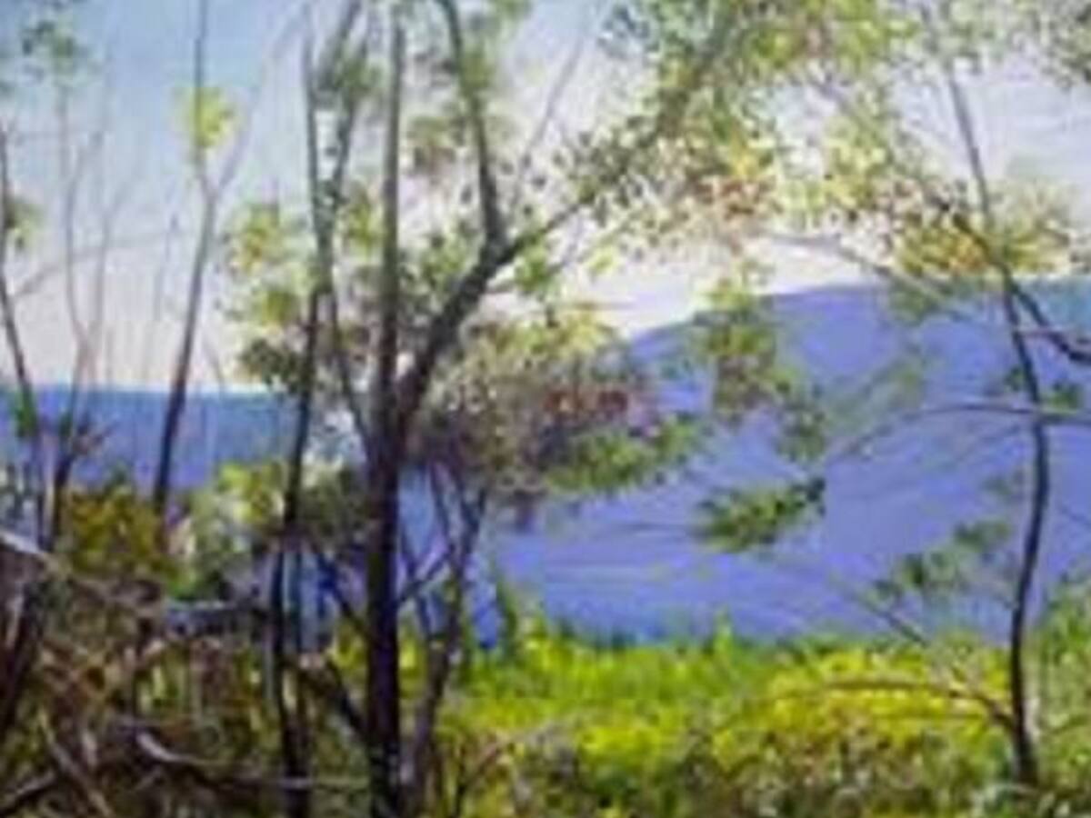 Un canto a la naturaleza, la nueva colección de Soledad Beltrán