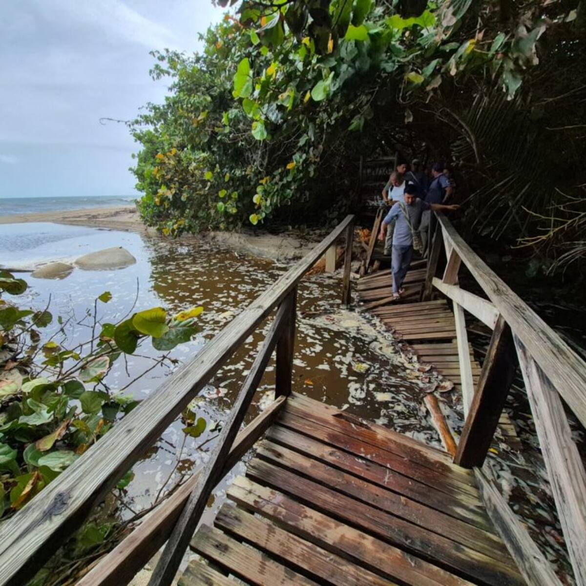 Cierran temporalmente el sector Cañaveral del Parque Tayrona por daños causados por las lluvias