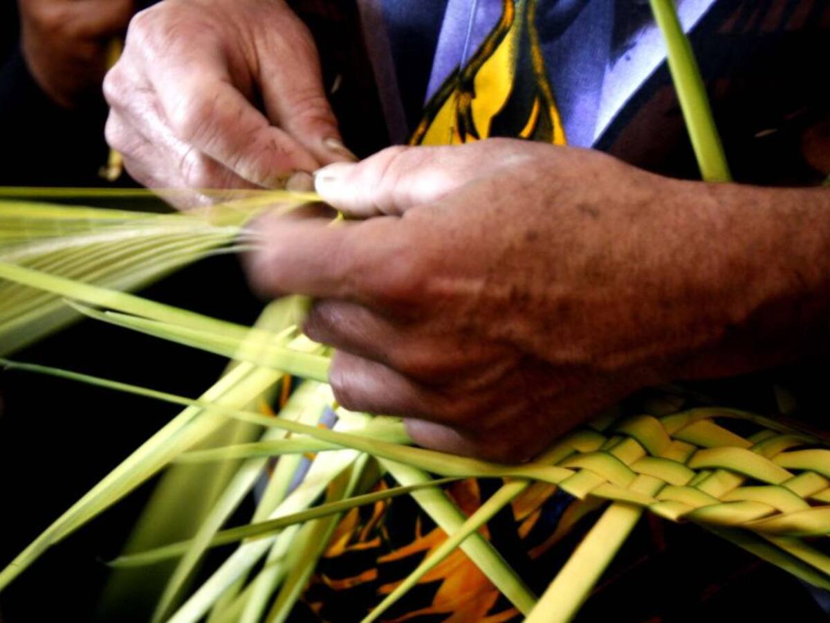 Palmas en Origami y papel reciclable para el domingo de ramos en Boyacá