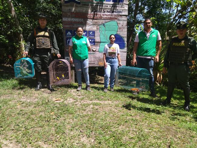 Los operativos de rescate se llevaron a cabo en el sector del Parque Arqueológico y el sur del departamento del Huila.