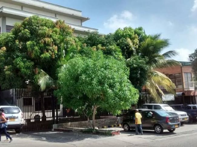 Medicina Legal. Imagen de referencia.