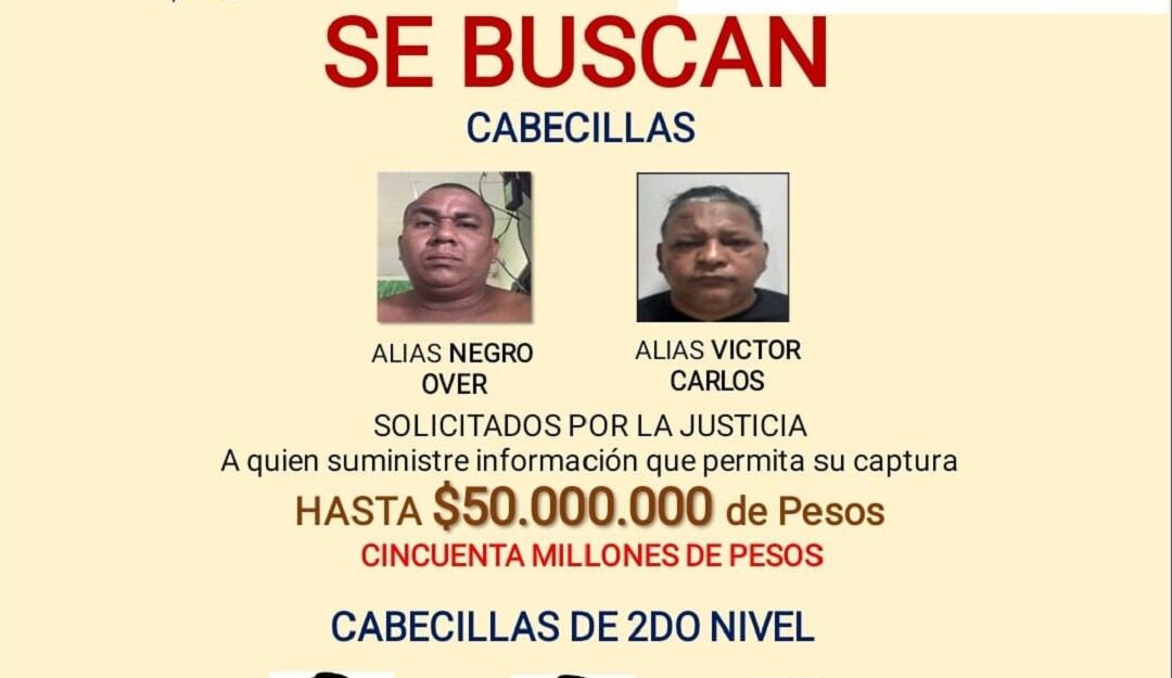 Presuntos determinadores