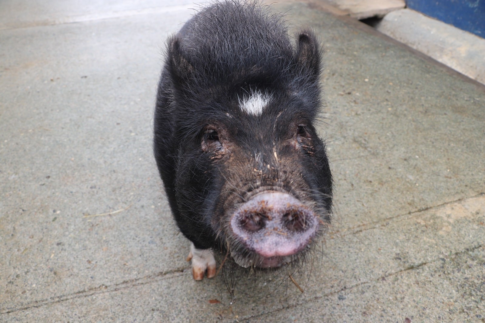 Alcaldía de Medellín
