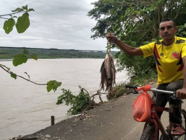 Por represamiento en Hidroituango, en Tarazá se quedan sin pescado