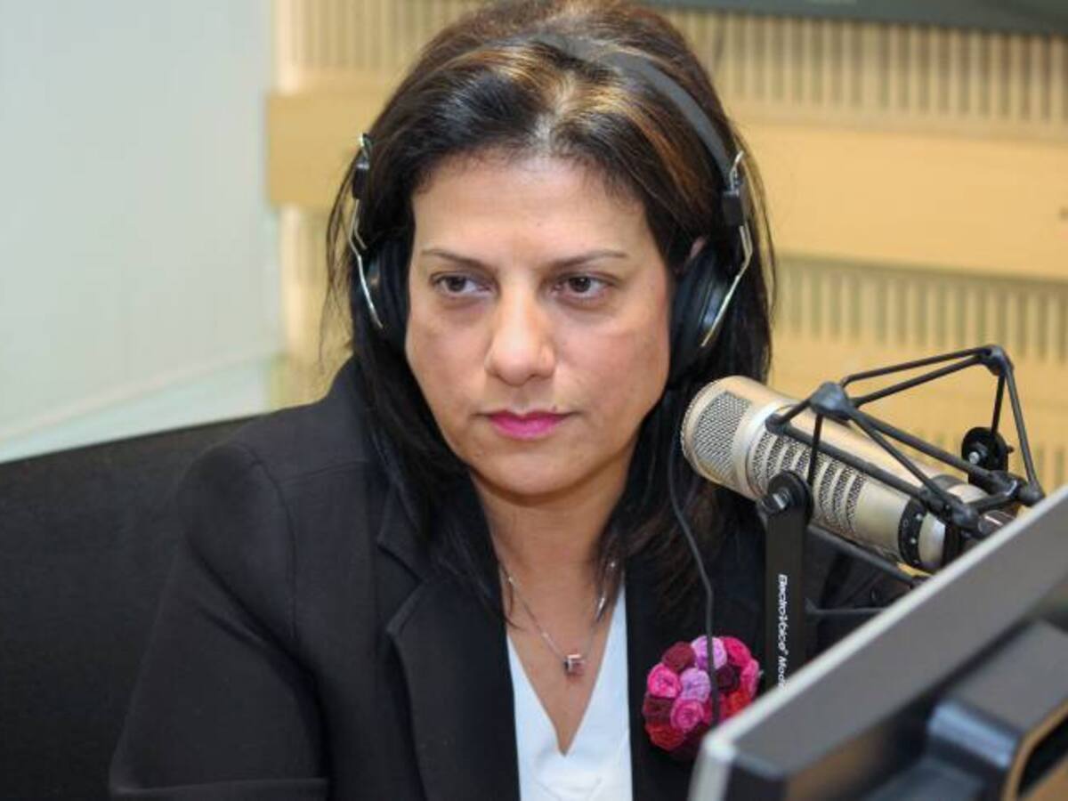 Un tercer canal logra mayor democratización y pluralismo informativo: A. Falla