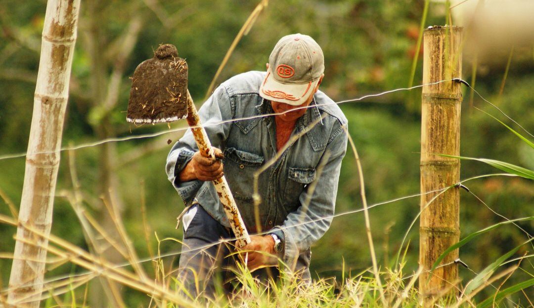 Día del Campesino. Soluciones para la Agricultura 