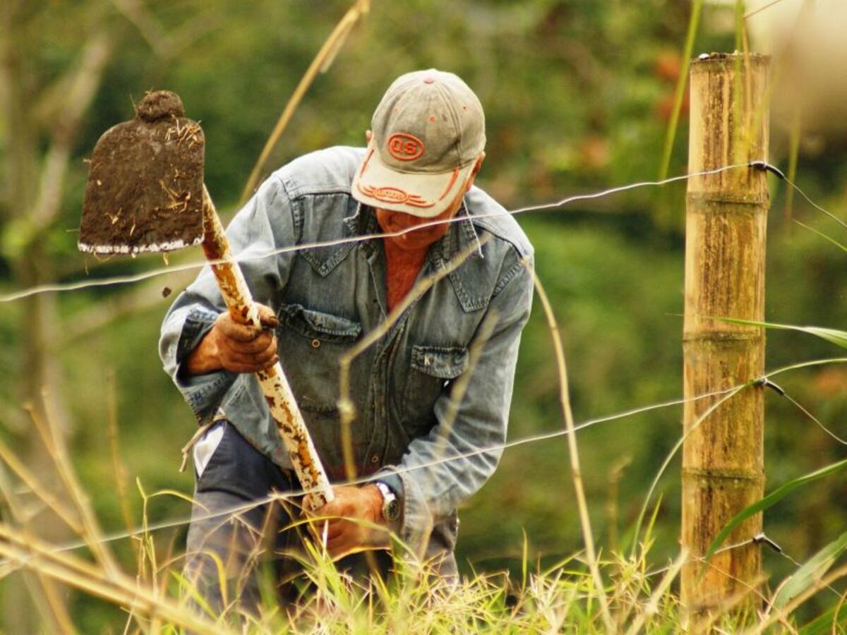Prácticas para impulsar el crecimiento y la productividad agroindustrial