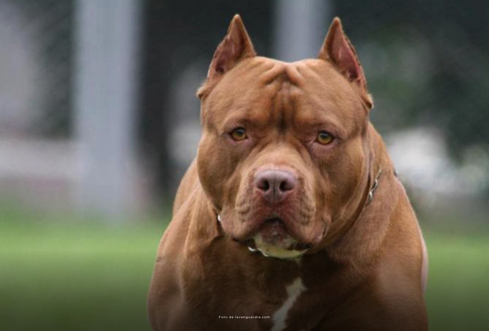 Crédito: Procuraduría General de la Nación.