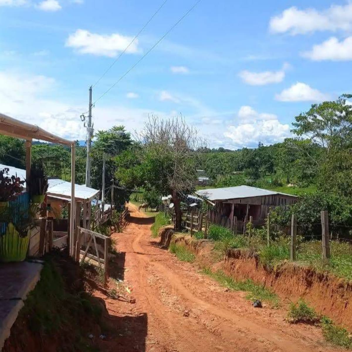 Defensores de DD.HH. piden protección urgente por presunta incursión armada en Remedios, Antioquia