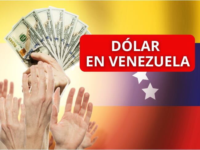 Imagen de referencia a dólar en Venezuela/ Getty Images