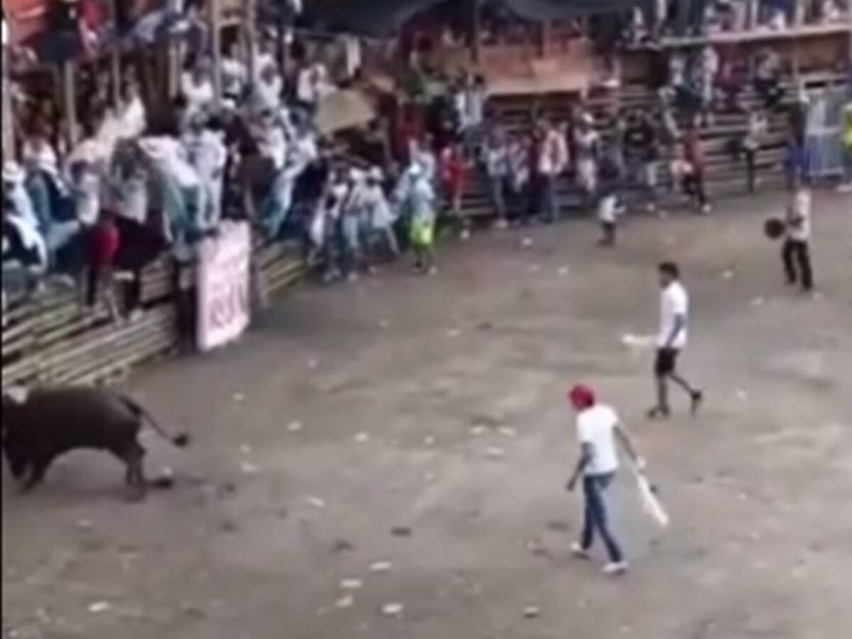 Nueve lesionados en las corralejas en El Espinal, Tolima