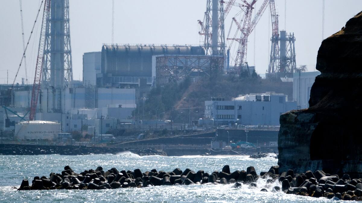 OIEA realizará revisiones de descarga de agua tratada tras accidente en Fukushima