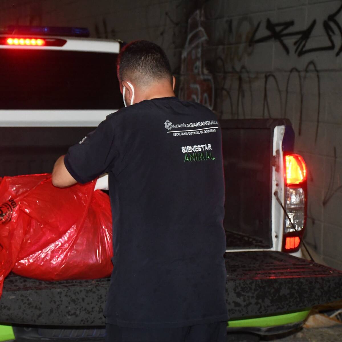 Fiscalía abre investigación por muerte de dos perros con signos de quemaduras en Barranquilla