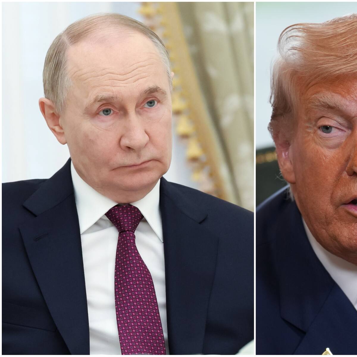 Putin es invitado por Trump para integrar la Junta de la Paz, según el Kremlin