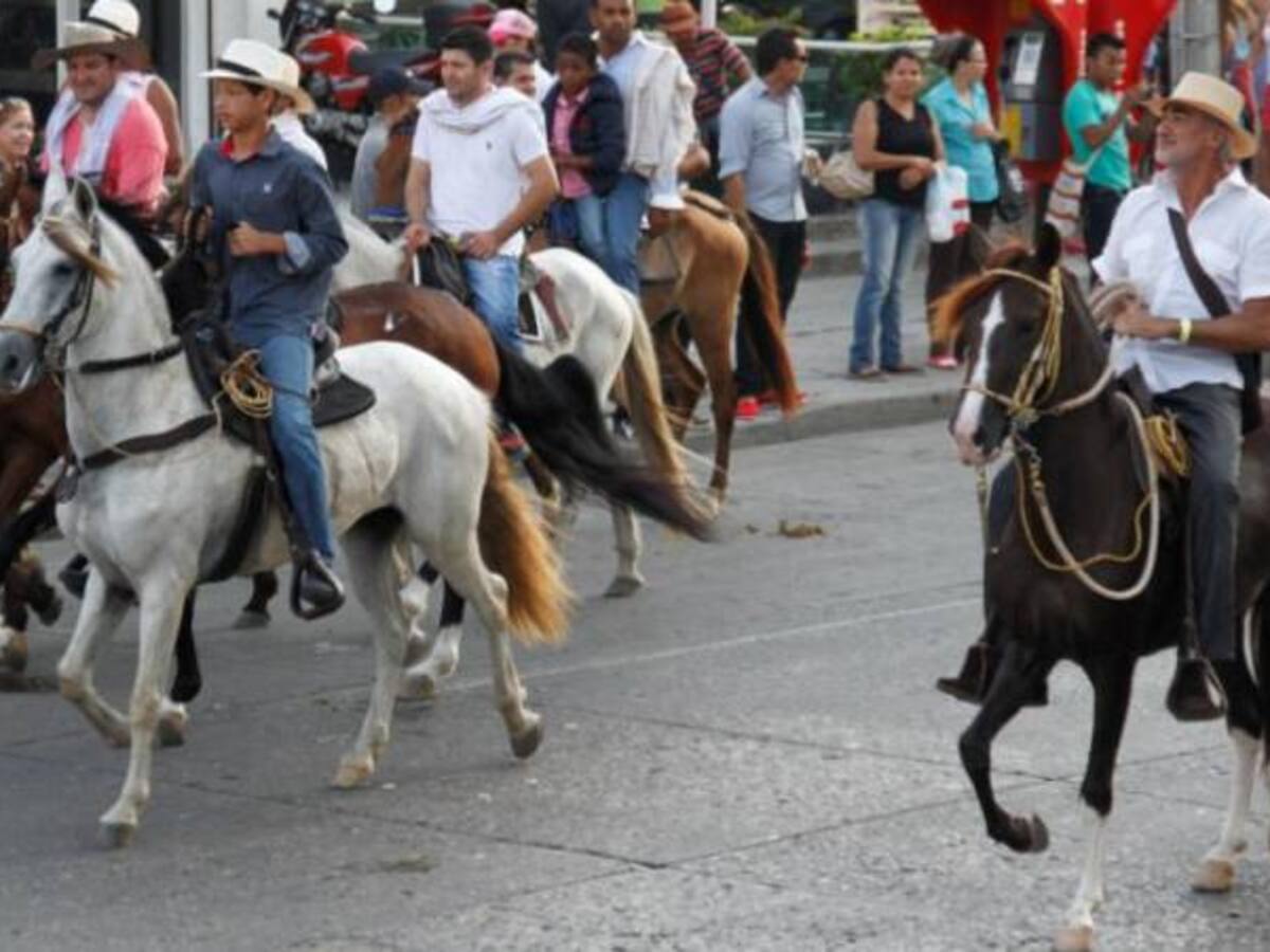 Todo listo para la tradicional cabalgata de la Candelaria en Cartagena