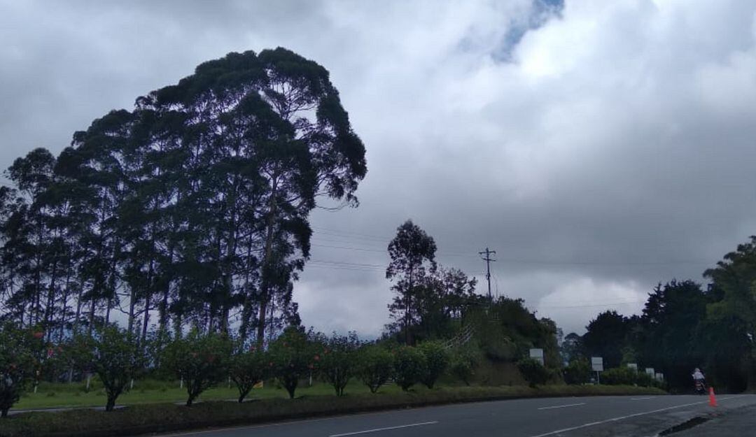 Vía Armenia-Pereira