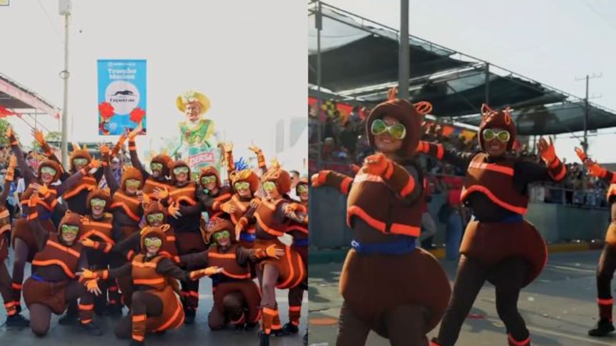 Santander presente en el Carnaval de Barranquilla: las hormigas culonas desfilaron por la vía 40
