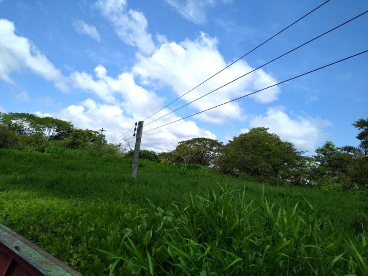 Conductor de chalupa magangueleño falleció en una ciénaga de Sucre