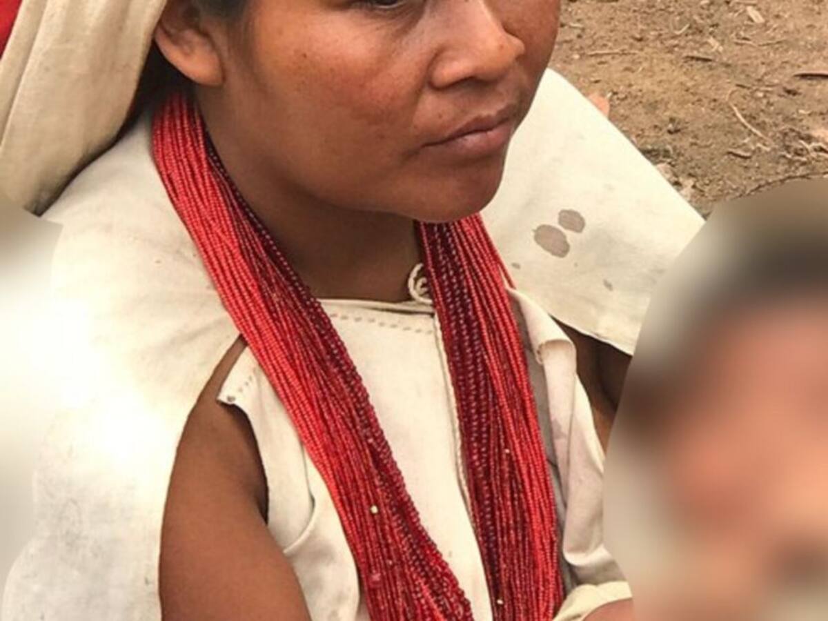 Extraño virus le estaría ocasionando la muerte a niños kogui de Palomino