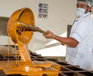 Industria Panelera en Santander