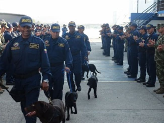 En Cartagena entrenan a nuevos cachorros para ser perros antinarcóticos