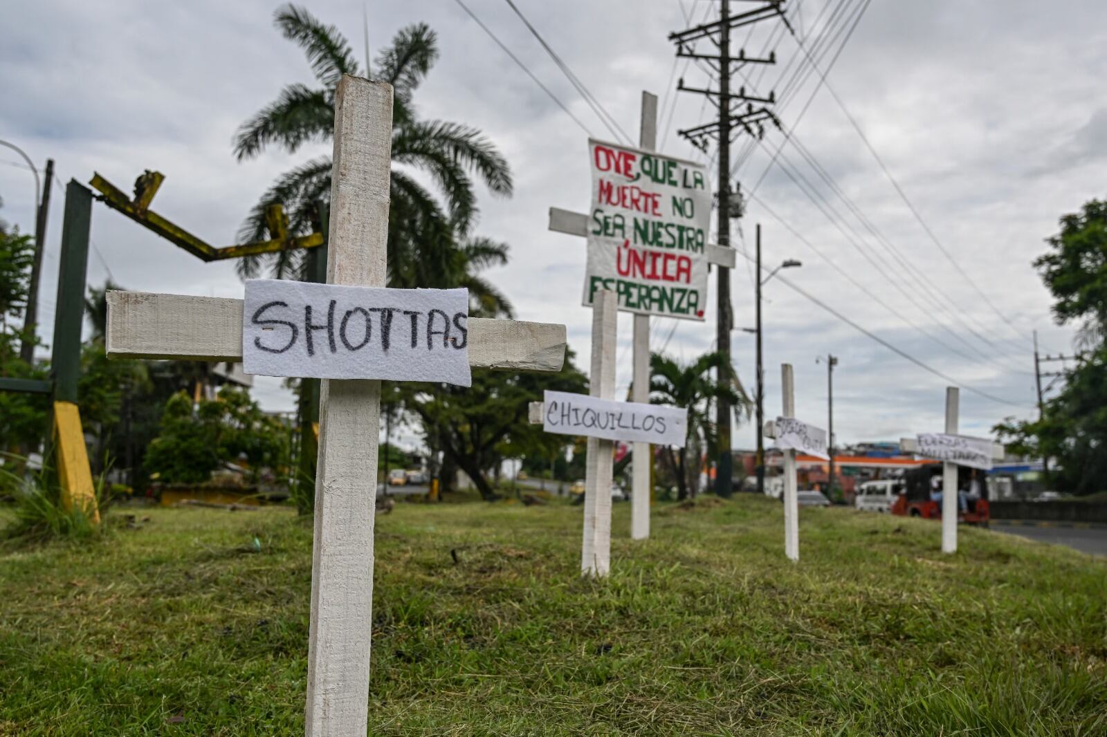 Los "Shottas" ratificaron su decisión de continuar firmemente en el proceso de Paz.