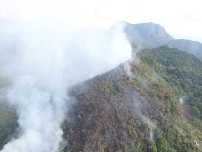 Incendio en Viotá consume 60 hectáreas de vegetación nativa