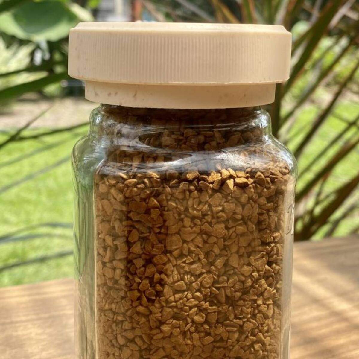 Buencafé desarrollará tapas hechas con pepa de aguacate