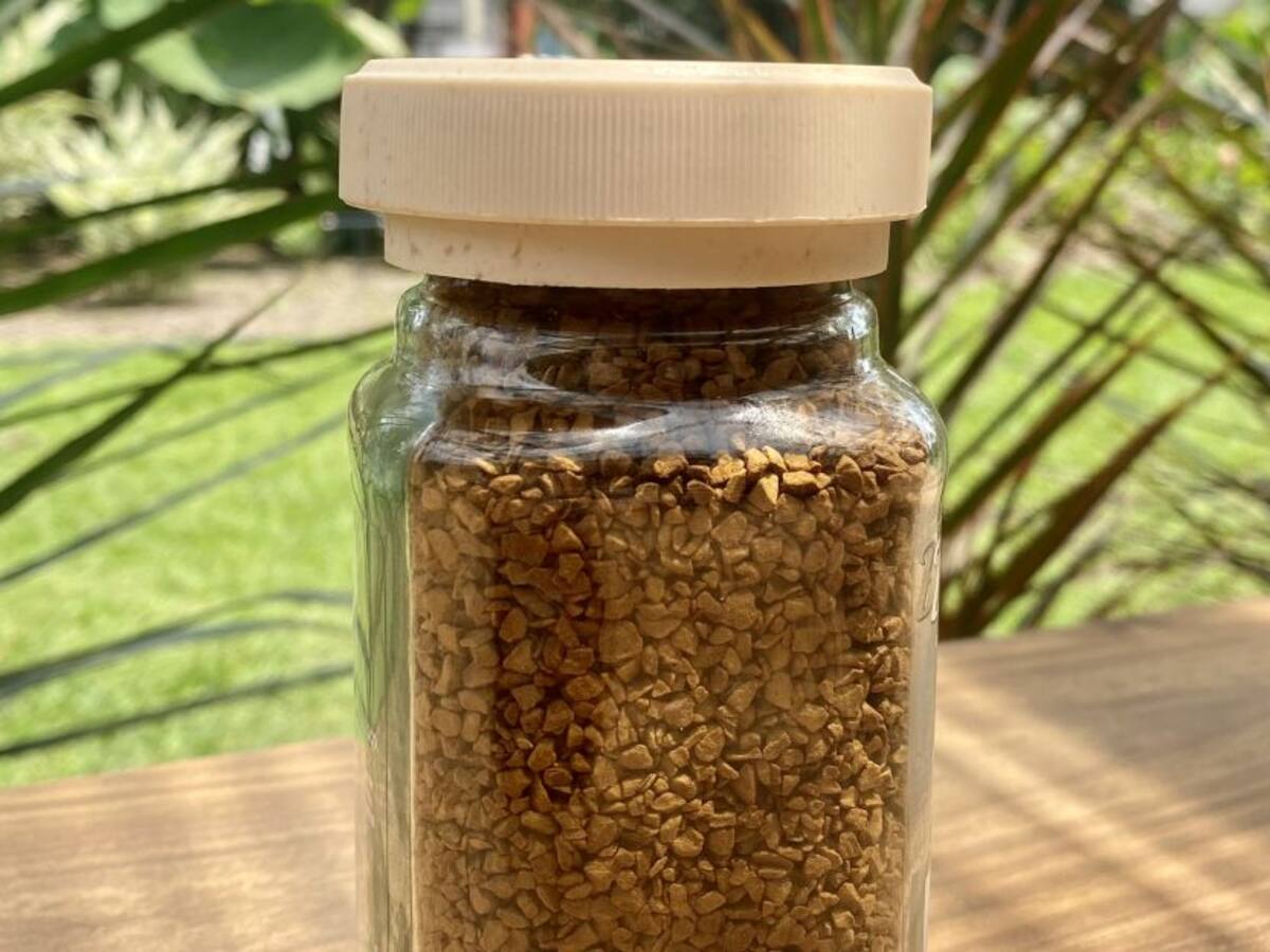 Buencafé desarrollará tapas hechas con pepa de aguacate