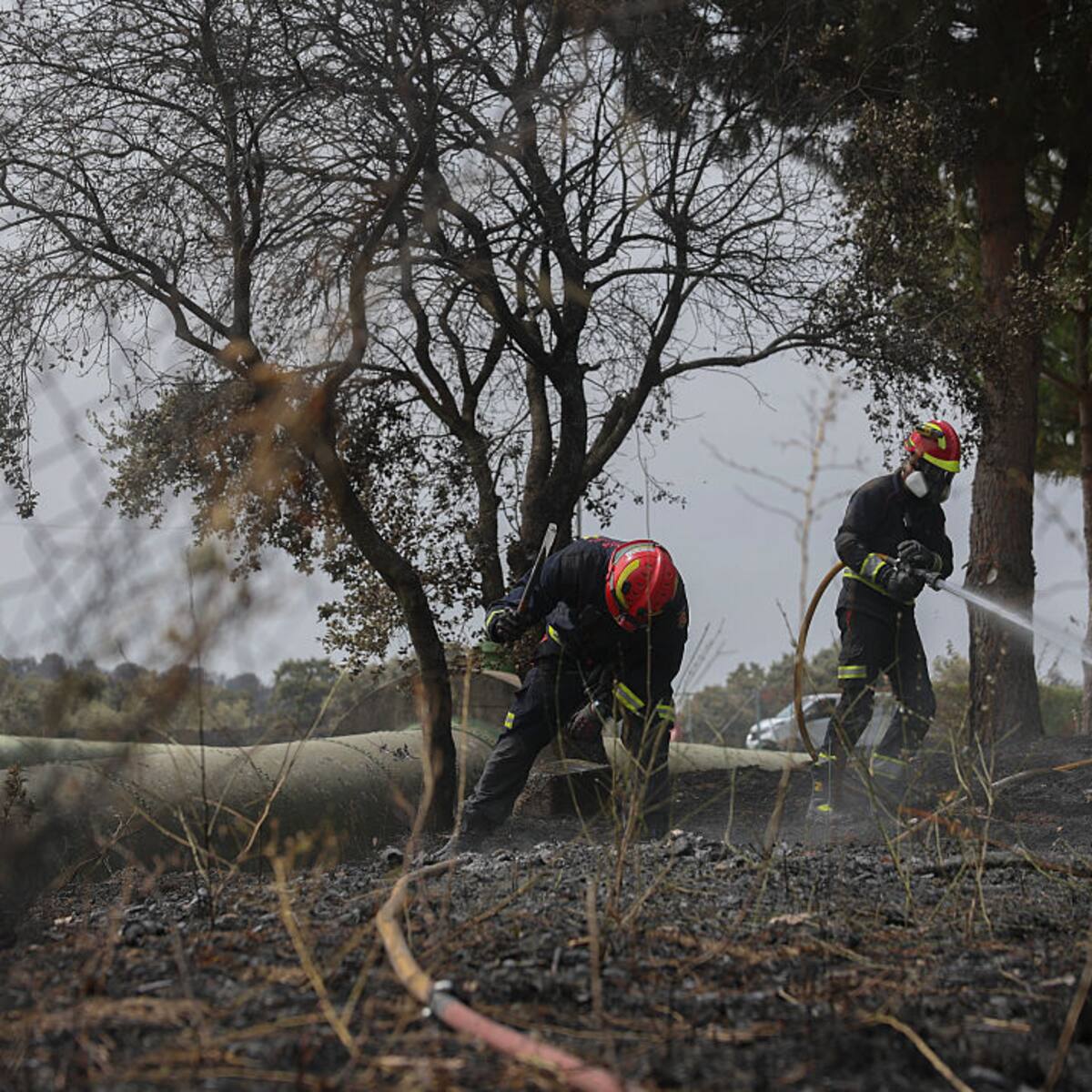 Incendio en Tres Cantos, Madrid, ha afectado más de 2.000 hectáreas