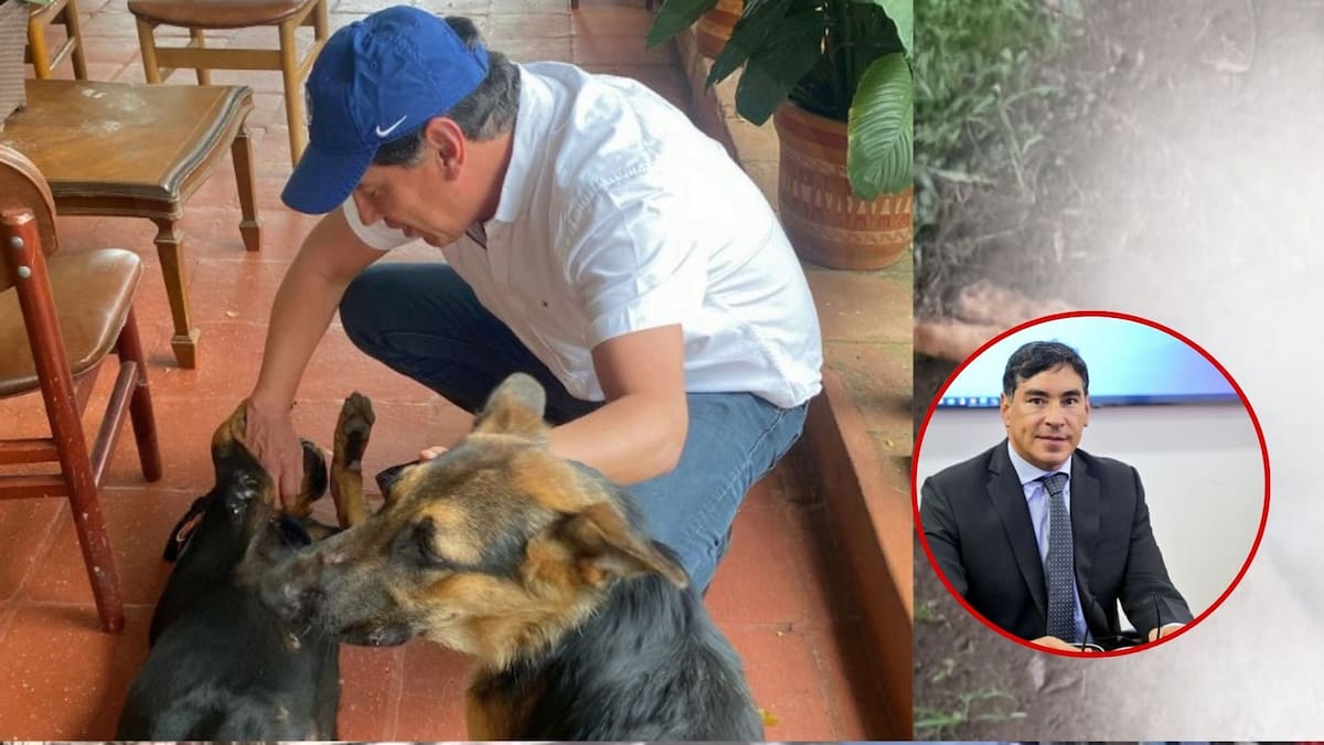 Veneno y muerte: lo que se sabe de las amenazas al presidente del Consejo Nacional Electoral