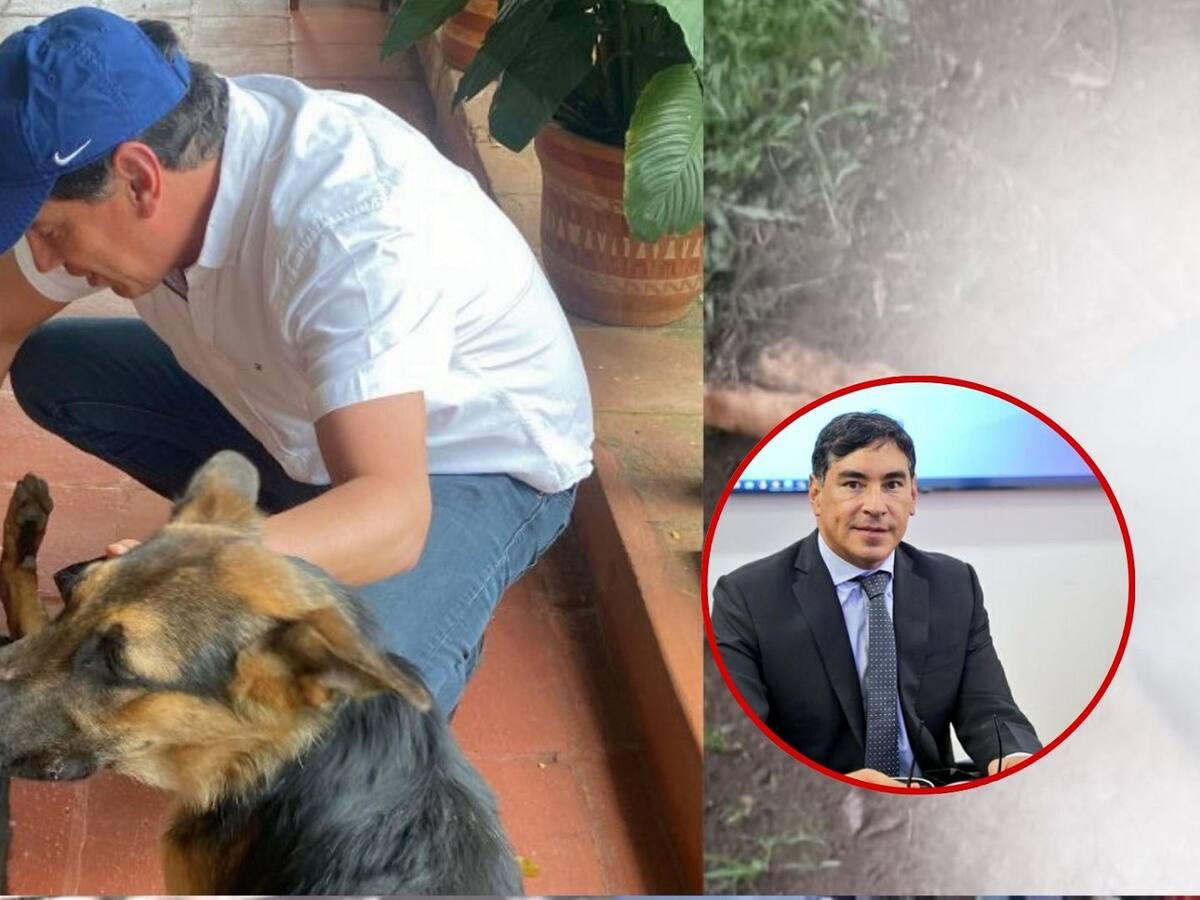 Veneno y muerte: lo que se sabe de las amenazas al presidente del Consejo Nacional Electoral