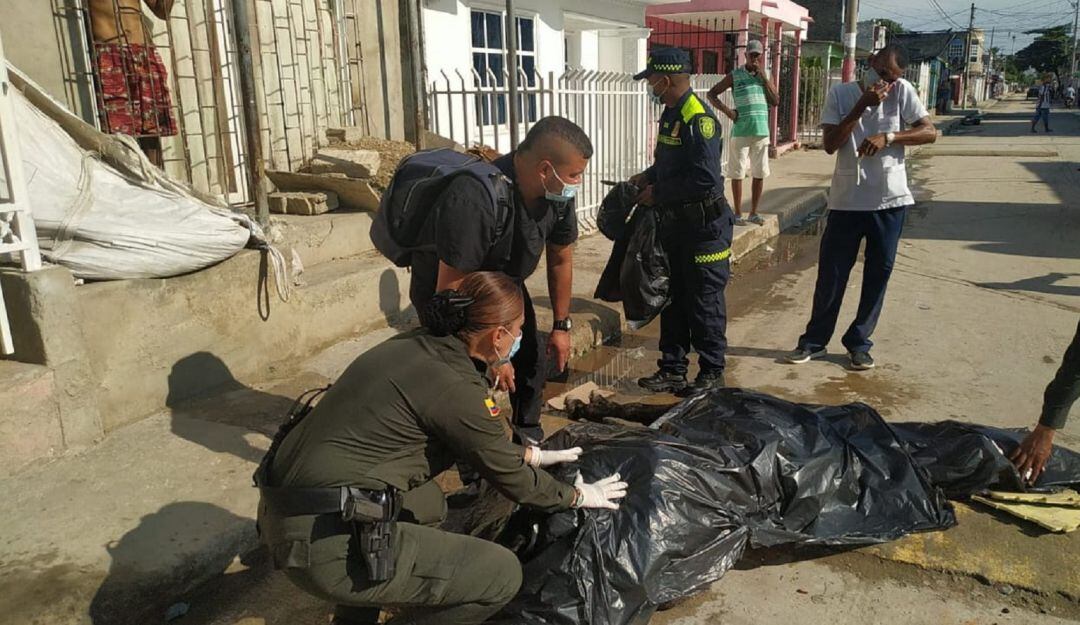 Según la Umata, el equino tenía deshidratación, múltiples laceraciones en el cuerpo y las puntas de las orejas cortadas