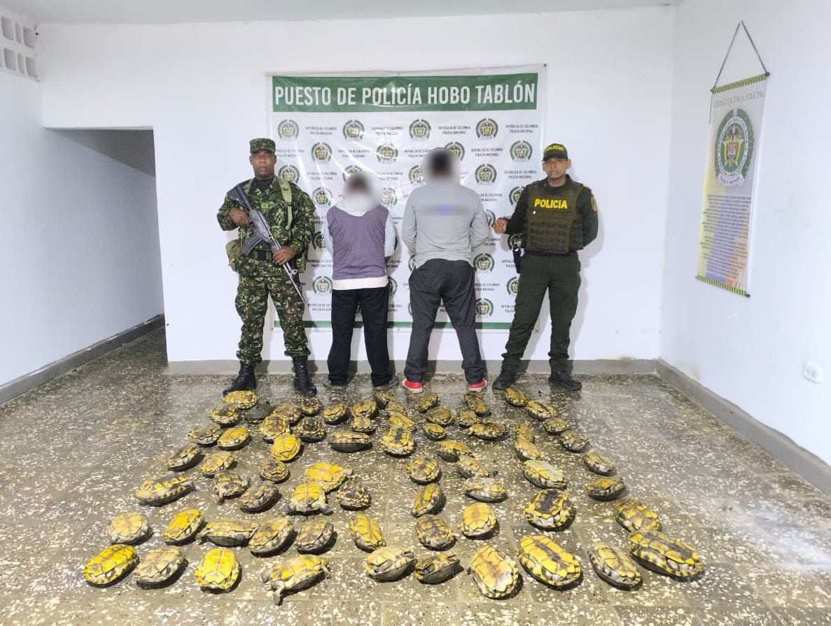 Capturan a dos hombres con más de 60 hicoteas en Sahagún, Córdoba. Foto: Ejército.