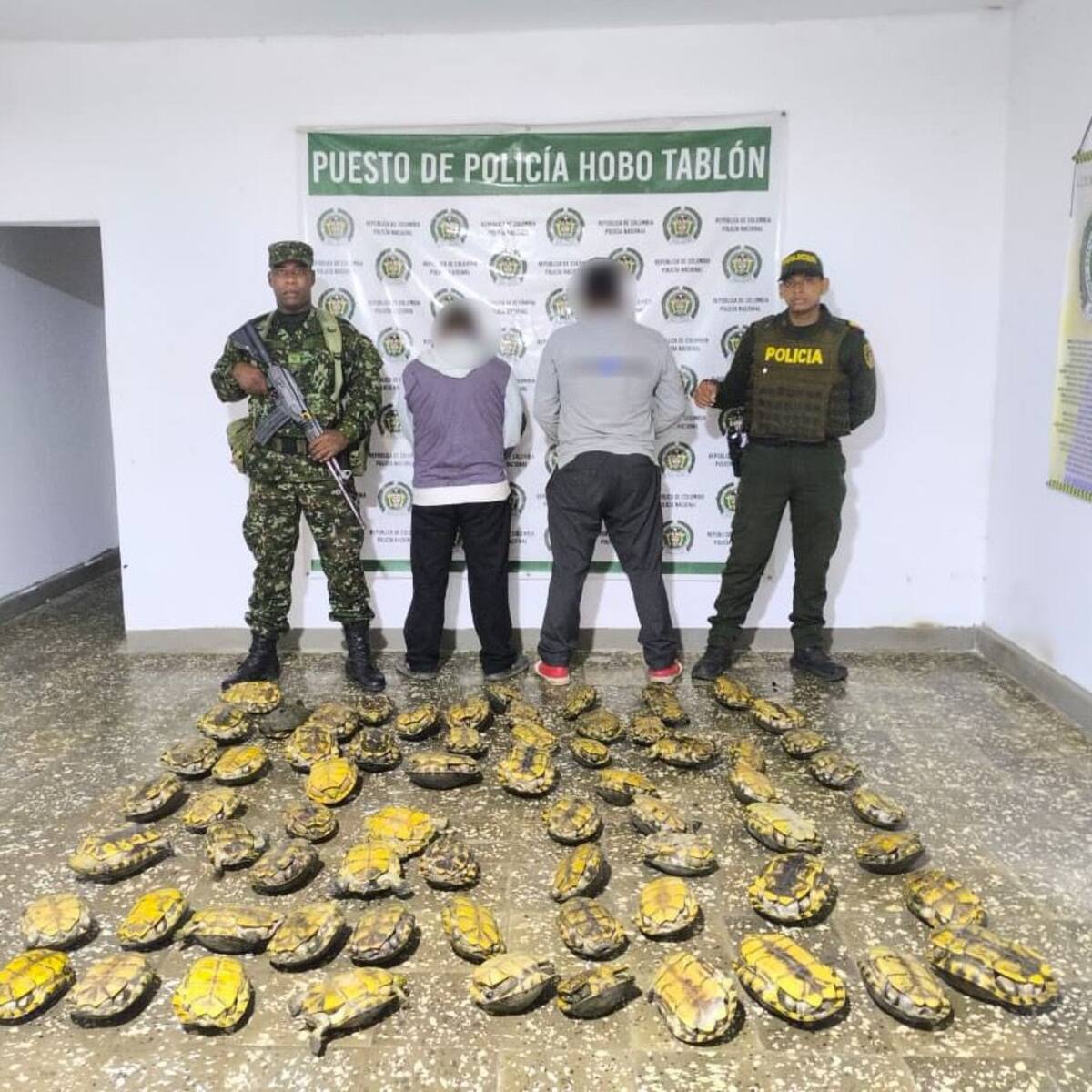Capturan a dos hombres con más de 60 hicoteas en Sahagún, Córdoba