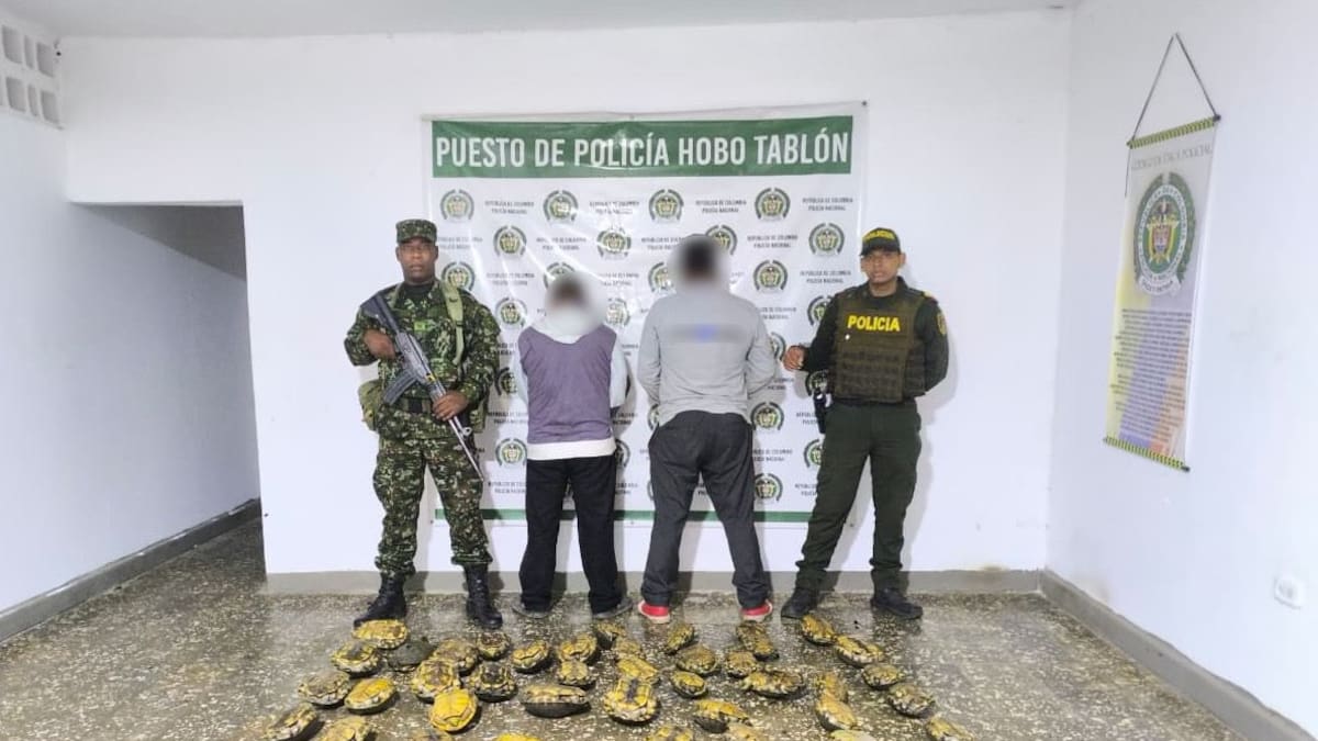 Capturan a dos hombres con más de 60 hicoteas en Sahagún, Córdoba