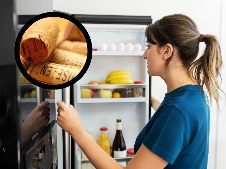 Ahorre en el consumo de la nevera con este truco casero: Solo necesita un corcho. Fotos tomadas de Canva