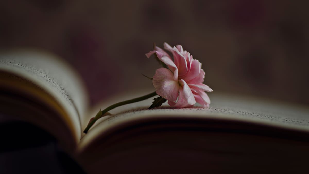 Enamorada de sus versos: oyente recitó su poesía al aire en La W