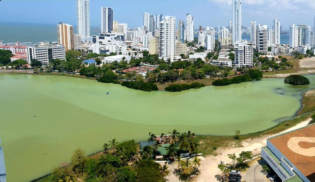 Las aguas de El Laguito tomaron un color verde