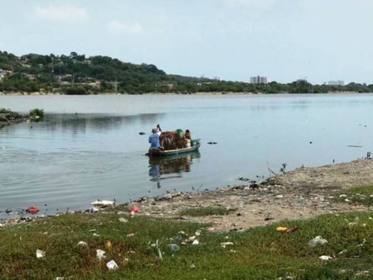 Detectan más de 600 aves que anidan cerca al aeropuerto de Cartagena