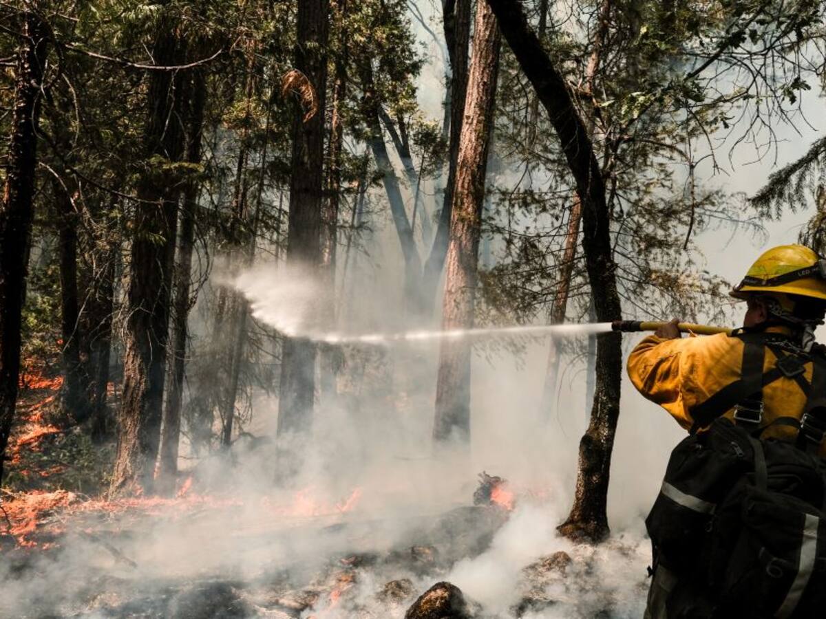 "Hemos estado por 3 semanas y estaremos hasta que se apague el incendio"