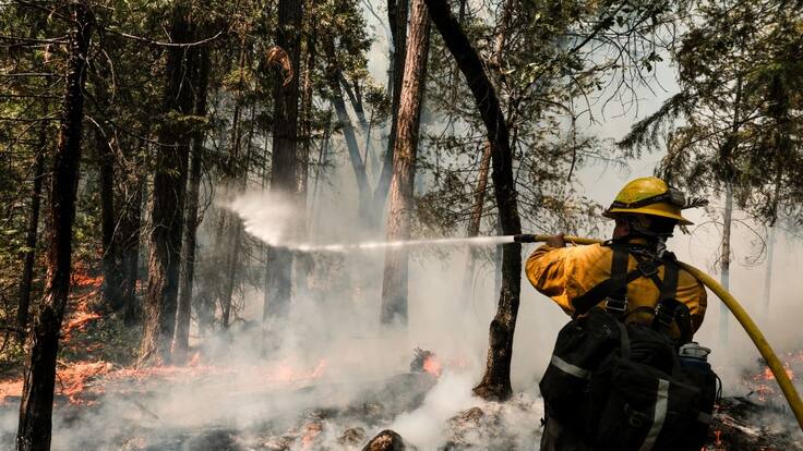 "Hemos estado por 3 semanas y estaremos hasta que se apague el incendio"