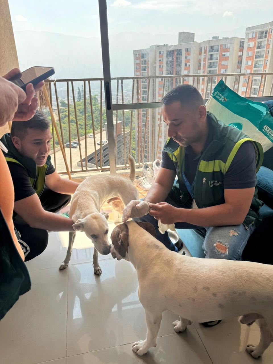 Multa de más de $10 millones por maltrato animal en Itagüí . Foto: Alcaldía de Itagüí