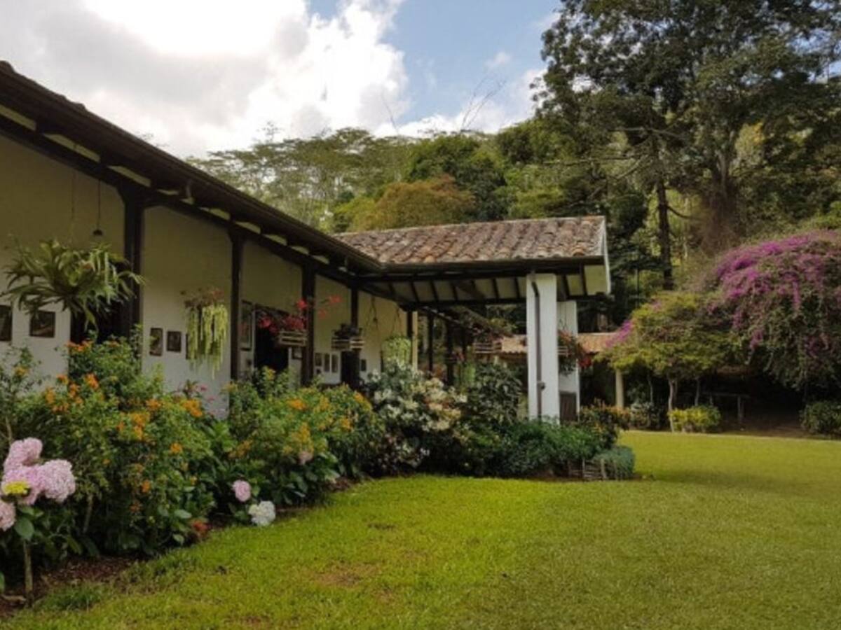 Cafeteros podrán asegurar cosechas