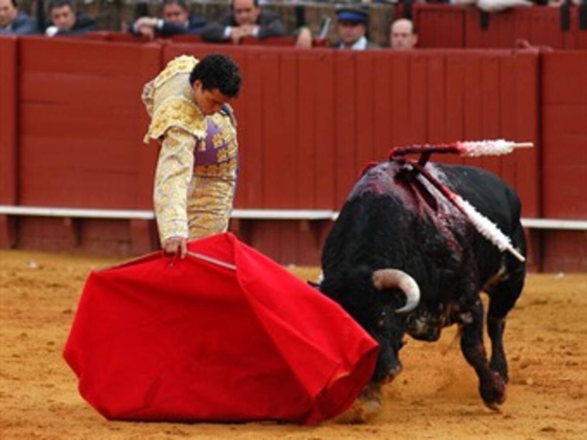 Felicitan a Cataluña desde Francia por debatir la prohibición de los toros